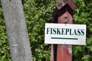 Jeg fant ut at det er laget egnede fiskeplasser ved Åros bru, Mølleparken, Strøm bru og ved Rulse bru. Man trenger visst ikke fiskekort for å fiske i Nitelva/Hakadalselva