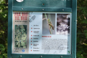 Hvis jeg leser plakaten, så vil jeg lage meg noen stikkord. Frosker, bever, øyenstikker, dagsommerfugler, humler og gråhegre
