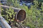 Rotnes kraftverk i Nitelva skal visst opprustes, her må jeg bare sitere. Denne rapporten tar for seg ny dam og inntak for Rotnes kraftverk i Nitelva. Det er sett på to alternativer, fast betongterskel og terskel med liten gummiluke for å kunne heve normalvannstanden. En enkel vurdering av nødvendige tiltak for rørgate og kraftstasjon er også utført og produksjonen for et alternativ med et nytt aggregat er beregnet