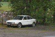 DSC_0028_01