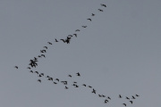 DSC_0055_01