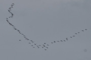 DSC_0057_01
