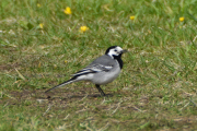 DSC_0128_01