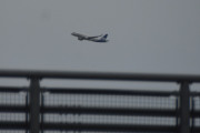 Fra Alnabru og på veien opp til Elverum så var det så mange fly i luften at noen kommer bare på flysiden og ikke her. Dette er SAS med landingshjulene oppe