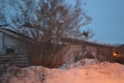 Det rister så fælt når vi kjører på veien inn til huset, men her er Renault-hus nr. 2