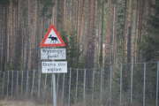 Så blir vi påminnet den oppskrytte Elgen du aldri ser, må være flere skilt en Elg spør du meg