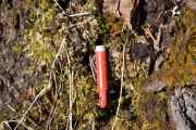 Her finner vi et spor, en "rødfis" som er en øvelsespatron i rød plast med løsammunisjon