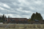 Så passerer vi Norsk skogmuseum som også har elger og som ble åpnet i 1971 av kong Olav V