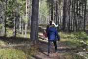 Og her går det ikke i sakte tempo, jeg tror skogen her heter Solvangskogen og eller Stasjonsskogen