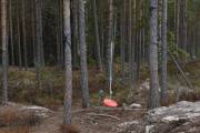 Furunabben barnehage ligger nede i Våler sentrum og så tar dem turer hit hele tiden, ikke rart at dem er spreke i Våler i Solør