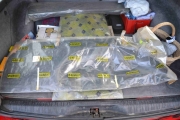 Renault 6TL sidepanel