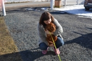 Anne Grete og Molly