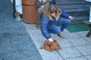 Molly kommer og møter oss