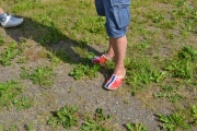 Lordag (149)