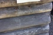 Sæter