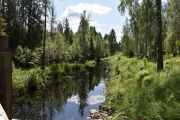 Vi går litt nedover og tar en titt, tenk at her gikk tømmeret helt ned til innsjøen Setten