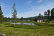 Jeg ser enda to fugler til på denne flotte eiendommen litt til høyre