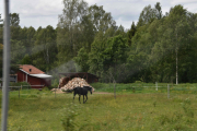 Det er hester her og ser vi på vedstabelen er det nok vinter her også