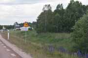 Da har vi kommet til Äppelbo og nå kan vi se etter Hjort igjen