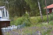 Nå gikk det vist litt for fort, her for vi bare med oss takene på bilene. Men jeg kan se at det står en boble der og kanskje en Volvo, de andre blir bare gjetninger
