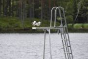 Da har vi kommet fram til stupetårnet på Setten og et par måker er klare til å stupe