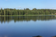 Det betyr at vi sier farvel til Nya Skogsgården, men vi vil komme tilbake om 4 år