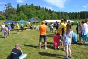 Landskamp (46)