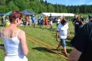 Landskamp (71)