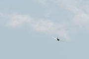 Morten 14 august 2019 - Småfly i full fart over taket, jeg klarer ikke å identifisere flyet, men jeg tror jeg vet hvem det er