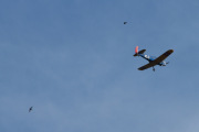 Morten 27 juli 2019 - Endelig en småfly med fugler igjen, her ser dere Svalene som flyr rundt - LN-BIF Fairchild PT-19 Cornell nr. 163 fra 1939