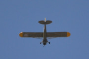Morten 10 mai 2018 - Fly med oransje vingetupper over Høyenhall. I ettertid så har jeg noen alternativer på Piper PA-19 Super Cub som denne er. Dem er LN-ACF, LN-ACJ og LN-ACL, blant annet