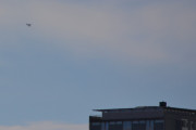 Morten lørdag 11 august 2018 - Kl. 08.54 Småfly over Høyenhall, veldig langt borte. Du ser høyblokka på Manglerud og det er et sjøfly som ser ut som en Cessna