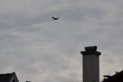 Morten 11 august 2018 - Kl. 15.00 Spennende fly LN-WNH over Høyenhall, da ønsker jeg dere god tur videre og kom gjerne igjen