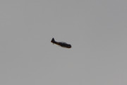 Morten 11 august 2018 - Kl. 15.00 Spennende fly LN-WNH over Høyenhall, men tusen takk uansett