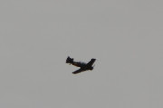Morten 11 august 2018 - Kl. 15.00 Spennende fly LN-WNH over Høyenhall, med dette, så blir det gøy å ta bilder av både fly og fugler