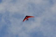 Morten 20 august 2016 - Bitte lite fly over Enebakk