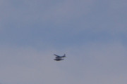 Morten fredag 24 august 2018 - Sjøfly over Høyenhall, det er nok en Cessna, men er for langt unna