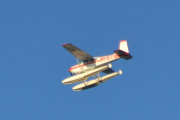 Morten mandag 3 september 2018 - Sjøfly over Høyenhall, den blir så tydelig i solen. Det er LN-BIK som er en Cessna 180H Skywagon fra 1969