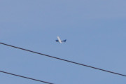 Morten 5 august 2018 - Kl. 12.49 Småfly over Høyenhall, ledningene ødela litt her dessverre