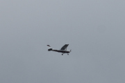 Morten 24 august 2019 - LN-RAL over Høyenhall, nå er jeg på fornavn med dem, har vært på Kjeller flyplass. Dette er en Reims-Cessna F172H Skyhawk fra 1970