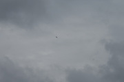 Morten 31 august 2019 - LN-TEX over Høyenhall