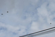 Morten 31 august 2019 - Yellow Sparrows over Høyenhall, mens jeg jobber i hagen