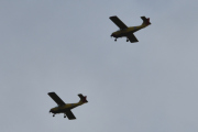 Morten 31 august 2019 - Yellow Sparrows over Høyenhall, jeg har alltid kamera på bamsen så jeg rekker det
