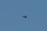 Morten 9 august 2019 - Sjøfly over Høyenhall, litt for langt unna til at jeg kan registrere det. Men det er en Cessna