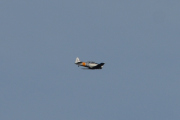 Morten 9 august 2019 - LN-TEX over Høyenhall