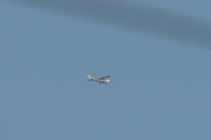 Småfly 2019 februar