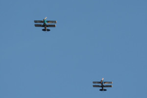 Småfly 2019 januar