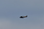 Morten 15 mai 2019 - LN-TEX over Høyenhall