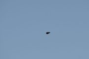 Morten 30 mars 2019 - UFO over Høyenhall
