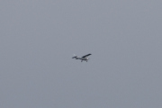 Morten 30 mars 2019 - Cessna 172 Skyhawk over Høyenhall